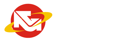 Logo TIMSA